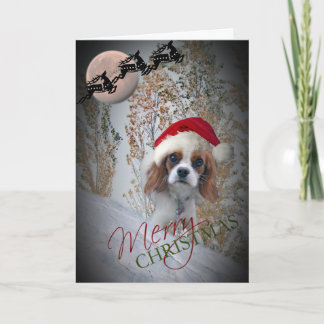 Pour Fêtes Annuelles Cartes de Noël du Cavalier Roi Charles