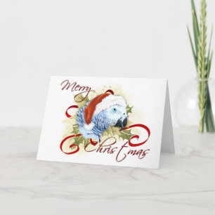 Pour Fêtes Annuelles Cartes de Noël du perroquet gris d'Afrique