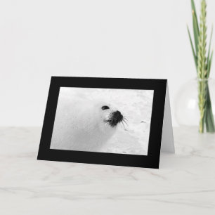 Pour Fêtes Annuelles Cartes de Noël en noir blanc   Vacances Noir Blanc