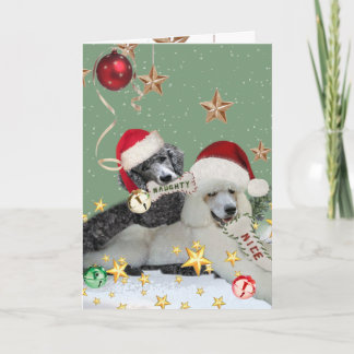 Pour Fêtes Annuelles Cartes De Noël Naughty Ou Nice Poodé