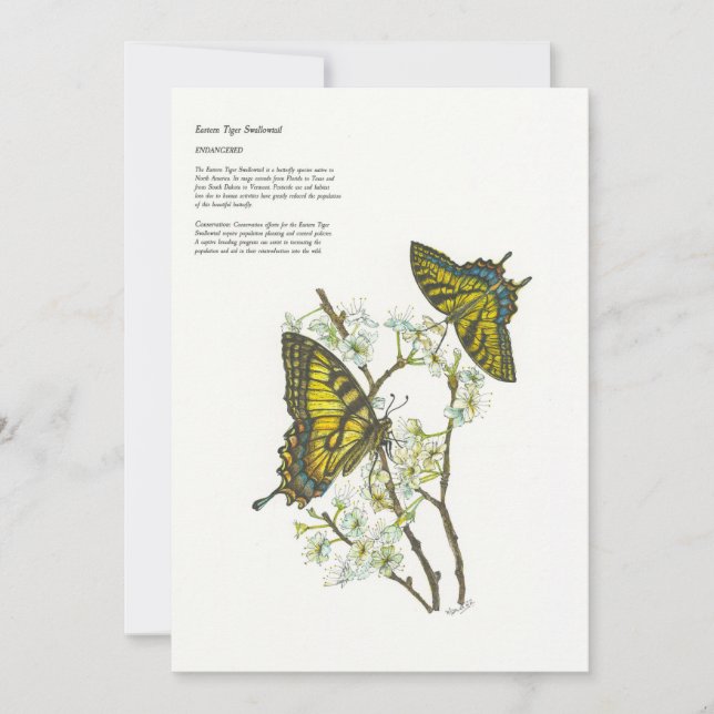 Pour Fêtes Annuelles Cartes de vacances (Devant)