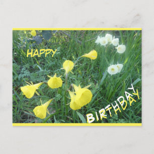 Pour Fêtes Annuelles Cartes de vœux d'anniversaire Jonquilles Cloches A