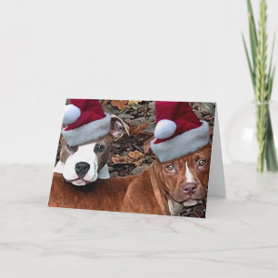 Pour Fêtes Annuelles Cartes de voeux de Noël Pitbull Puppies