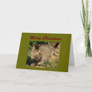 Pour Fêtes Annuelles Cartes de voeux de Noël Tabby Cat