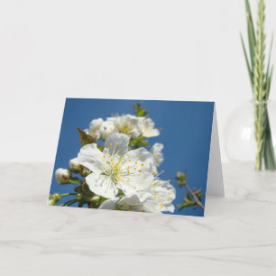 Pour Fêtes Annuelles Cartes de vœux Fleurs de cerisier Ciel bleu Printe