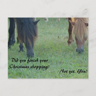 Pour Fêtes Annuelles Cartes et timbres de Noël de poneys d'Assateague