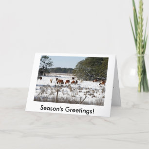 Pour Fêtes Annuelles Chincoteague Wild Pony cartes de Noël