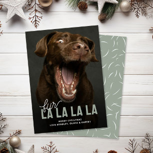 Pour Fêtes Annuelles Funky Fur La La Pet Cartes de Noël