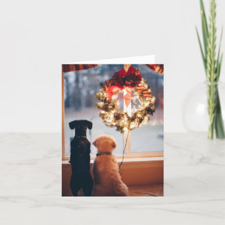 Pour Fêtes Annuelles Grandes cartes de monnaie de Noël