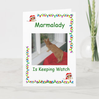 Pour Fêtes Annuelles Marmalady Cat Secourir les cartes de Noël