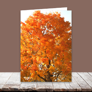 Pour Fêtes Annuelles Thanksgiving à travers les cartes Miles