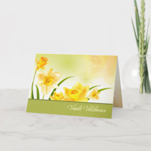 Pour Fêtes Annuelles Veselé Velikonoce. Cartes de Tchèque Pâques