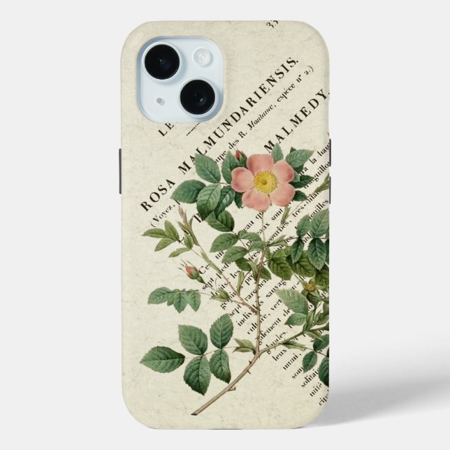 Pour iPhone 15 Élégance sauvage : Rosa malmundariensis coque ipho (Verso)