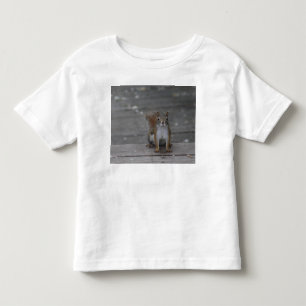 Pour Les Tous Petits T-shirt d'enfant en bas âge d'écureuil