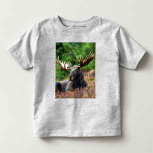 Pour Les Tous Petits T-shirt Moose Toddler