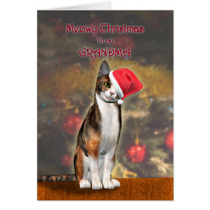 Pour Mamie, un chat drôle dans un casquette de Noë