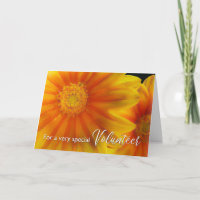 Pour Merci volontaire Gazania Flowers