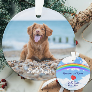 Pour toujours dans notre coeur - Rainbow Bridge Pe