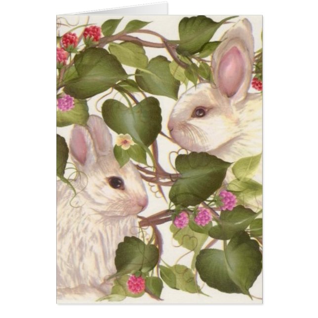 Pour toujours lapins (Devant)