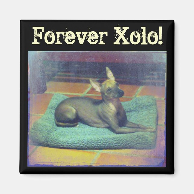 Pour toujours Xolo ! Magnet (Devant)