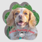 Archer Bea-Streaming Magnet