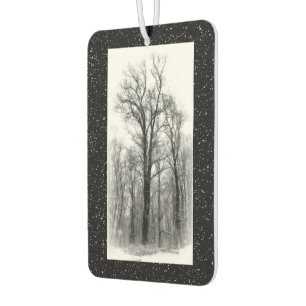 Pour Voiture Désodorisant Hiver Neige et Peupliers