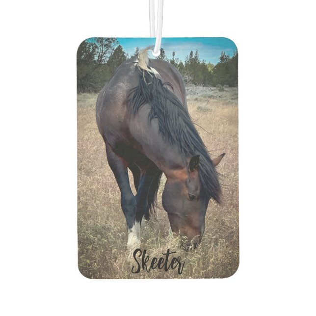Pour Voiture S Steens Stallions Désodorisant (Dos)