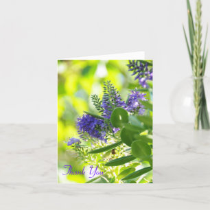 Pourpre de fleurs sauvages, Merci