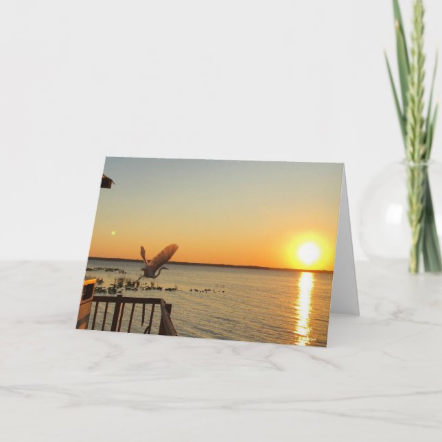 poursuite de la carte de voeux coucher de soleil (Devant)