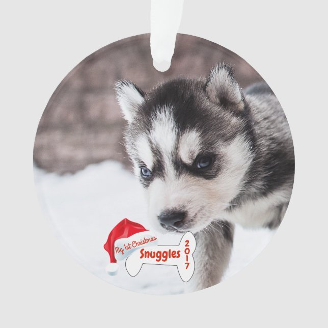 Poursuivez mon premier os de chien de nom de photo (devant)