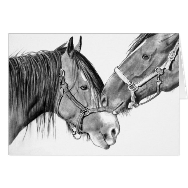 Pousser du nez de chevaux : Dessin au crayon (Devant horizontal)