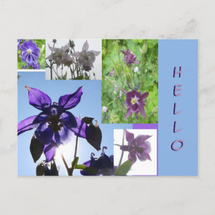 Poussière Collage Aquilegia. Carte postale Text & 