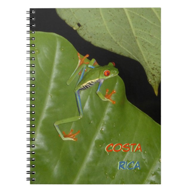 Poussière De Grenouille Rouge Jaune. Carnet texte (Devant)