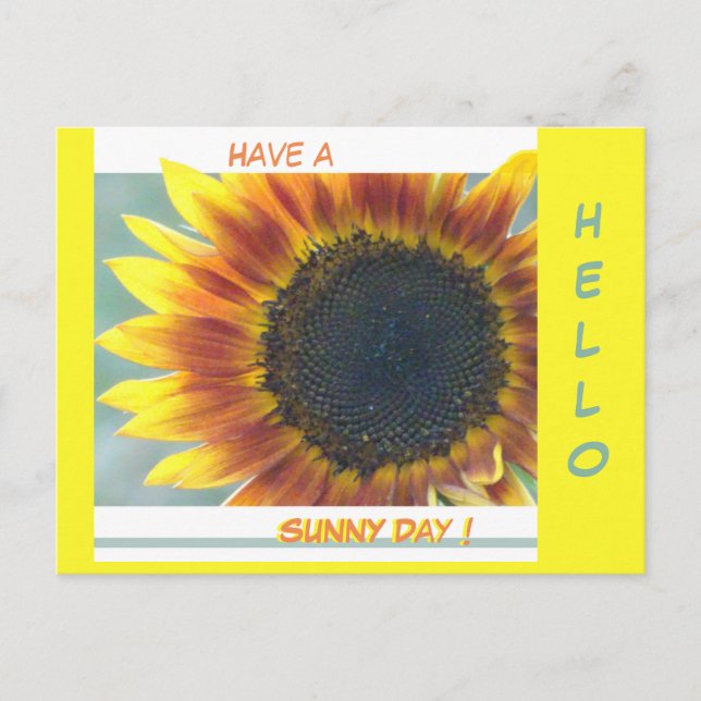 Poussière De Tournesol Orange Jaune. Carte postale (Devant)