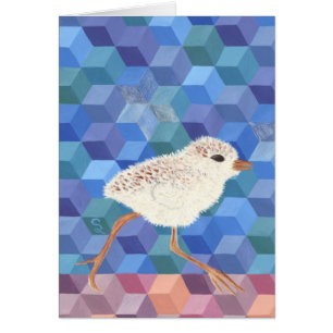 Poussin de pluvier de Milou