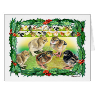 Poussins de Noël