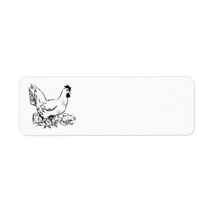 Poussins de poule et de bébé
