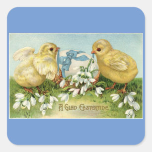 Poussins Vintage Avec Autocollants D'oeufs