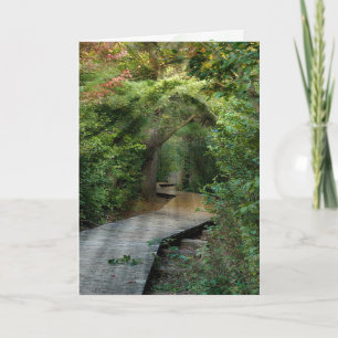 Poutres de soleil de forêt pour carte de sympathie