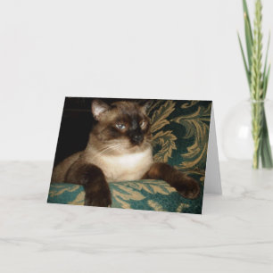 Pouty Face Siamese Cat Note Card
