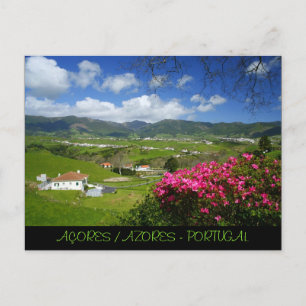 Povoação - Azores Postcard
