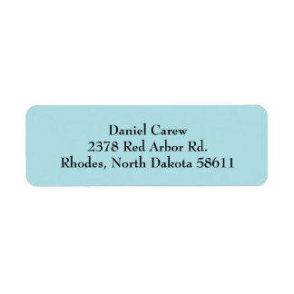 Powder Blue Simple Plain Return Address Labels