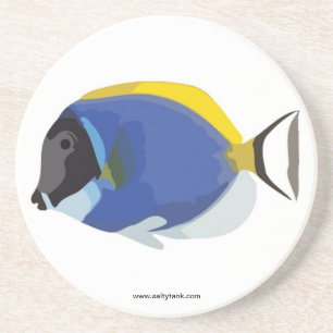 Powder Blue Tang Fish Coaster