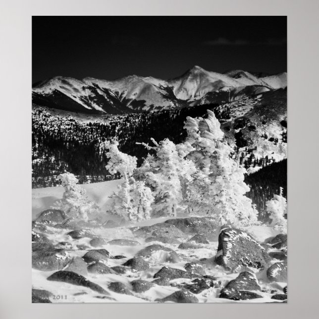 Powder Coat Poster (Front)