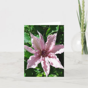 Powder Pink Clematis Flower Folded Greeting Card