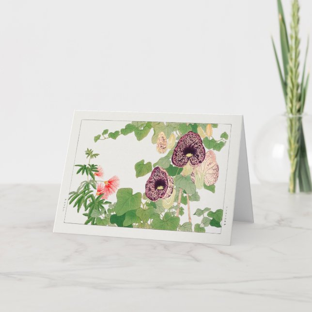 Powder puff tree, Calico flower by Tanigami Konan Card (Front)