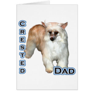 Powderpuff Crested Dad 4