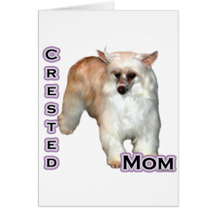 Powderpuff Crested Mom 4