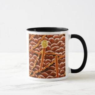 Powdery Mildew Fungus on Poinsettia Mug