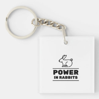Power in rabbits keychain